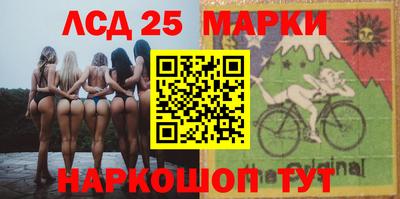 бошки Можга