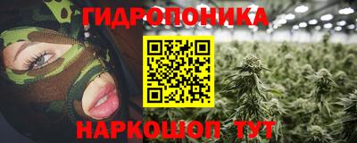 бошки Можга