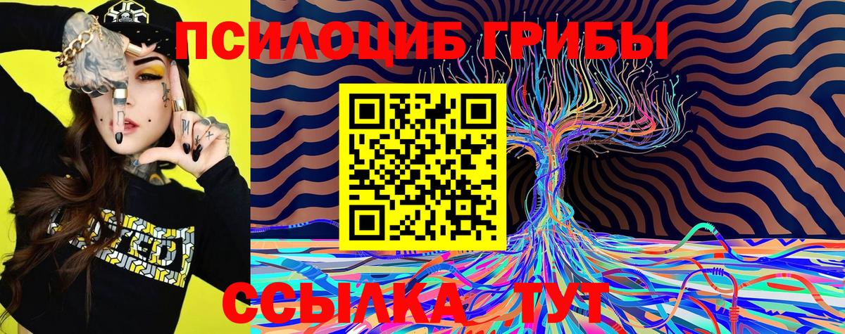 Кондопога  Псилоцибиновые грибы Psilocybe  Вход с VPN 